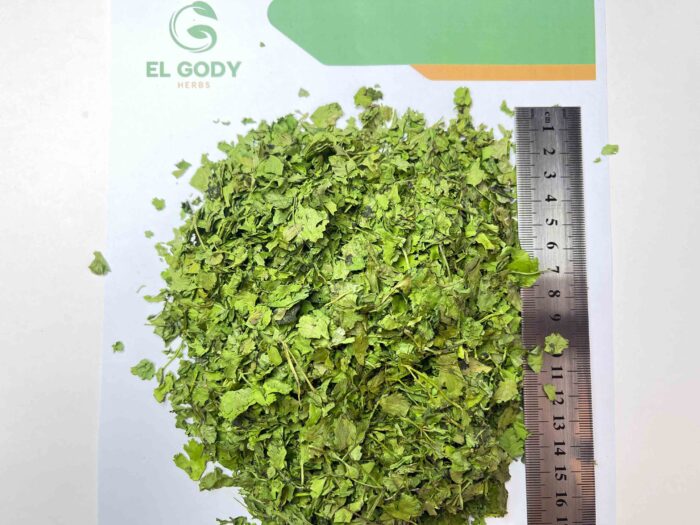 PARSLEY - Image 3