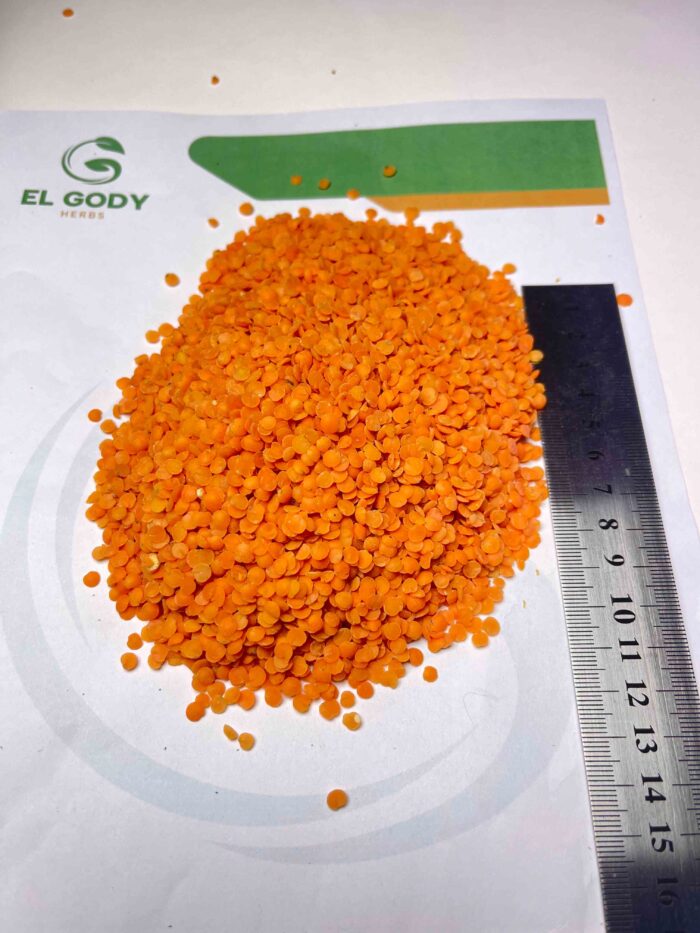 LENTILS - Image 2