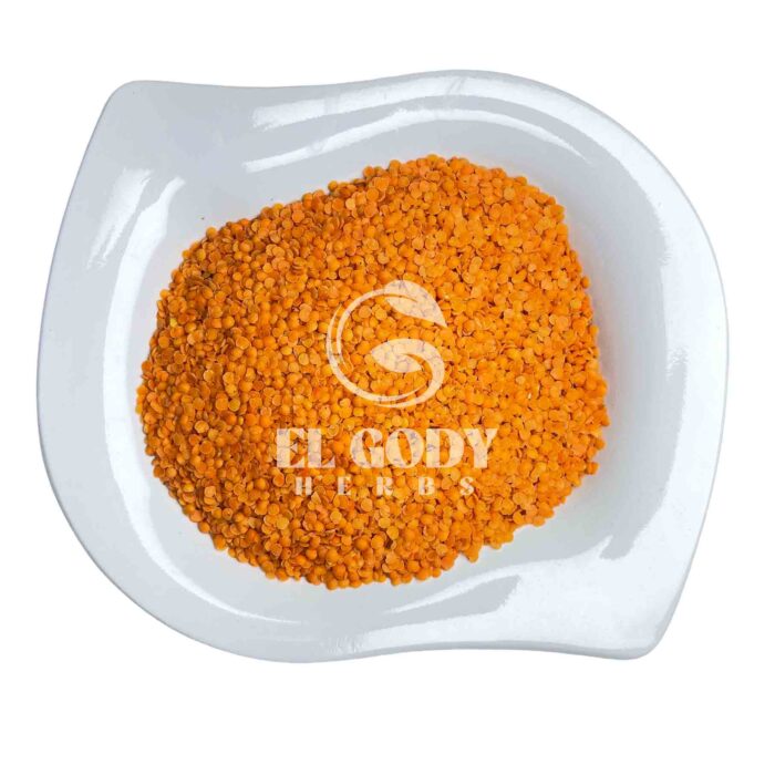 LENTILS