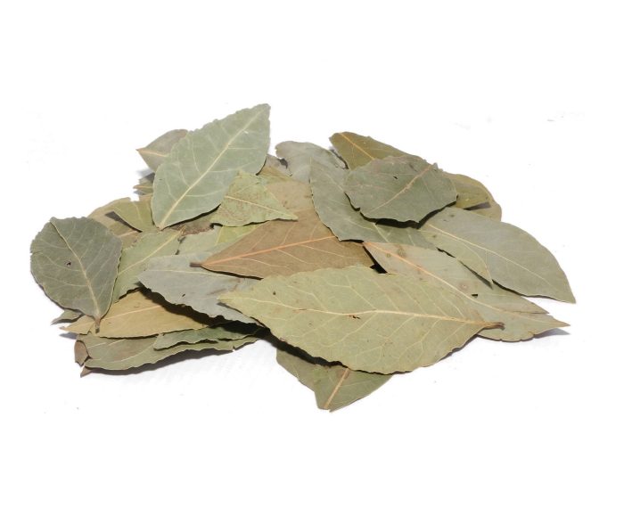 BAY LEAVES