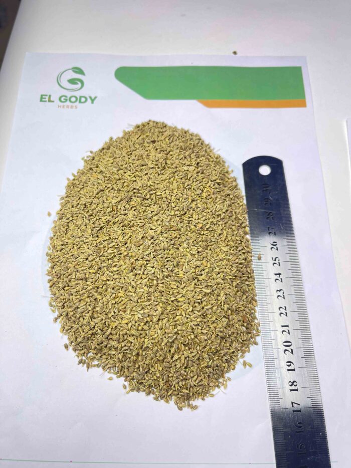 ANISE - Image 2