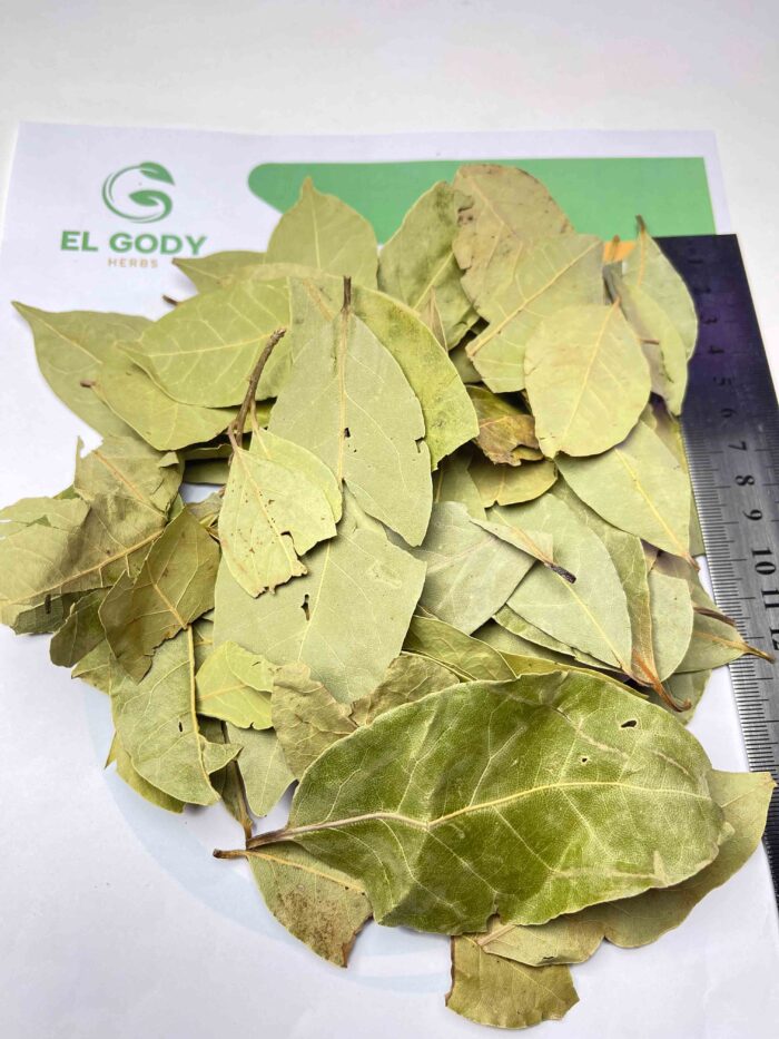 BAY LEAVES - Image 2