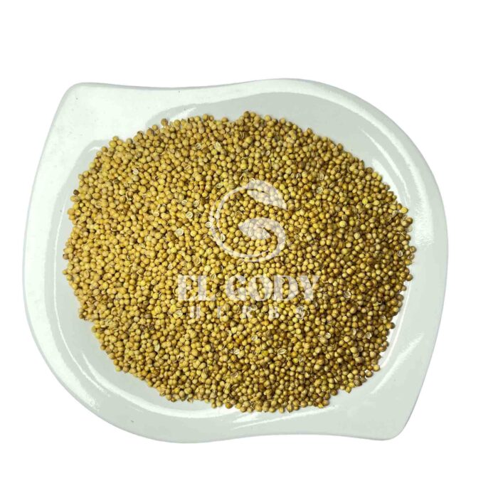 CORIANDER